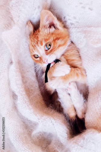 Funny red kitten with cunning eyes plays with a toy mouse on a furry white blanket