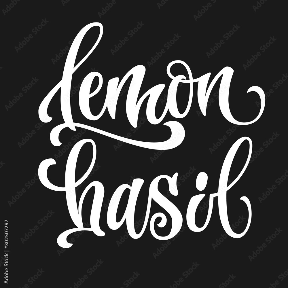 Vector hand drawn calligraphy style lettering word - Lemon basil. Isolated script spice text label. White colored design. Labels, stikers, packages design element.