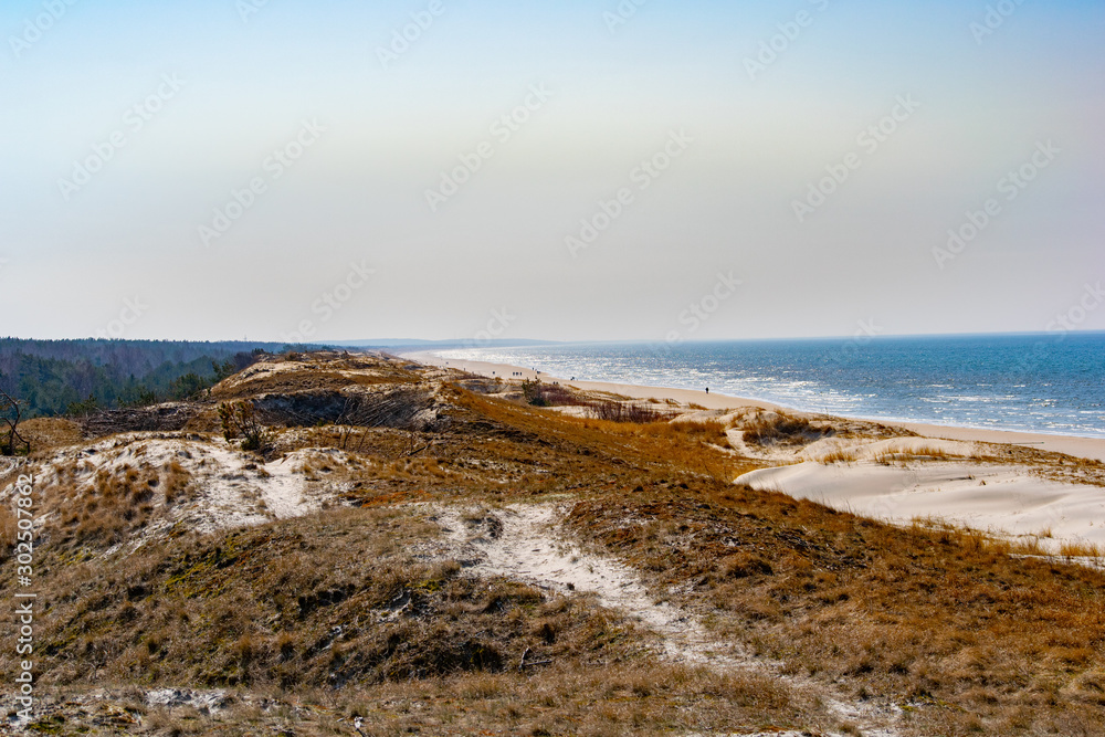 Dunes of Baltic sea with coastline