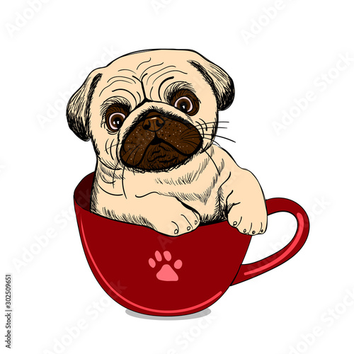 Dog with red cup. Wall stickers photo