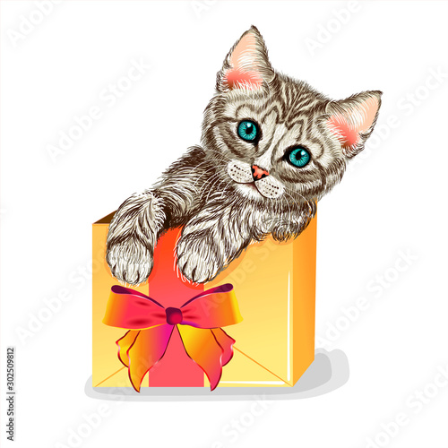 Cat in a gift box. Cute kitten. Wall stickers