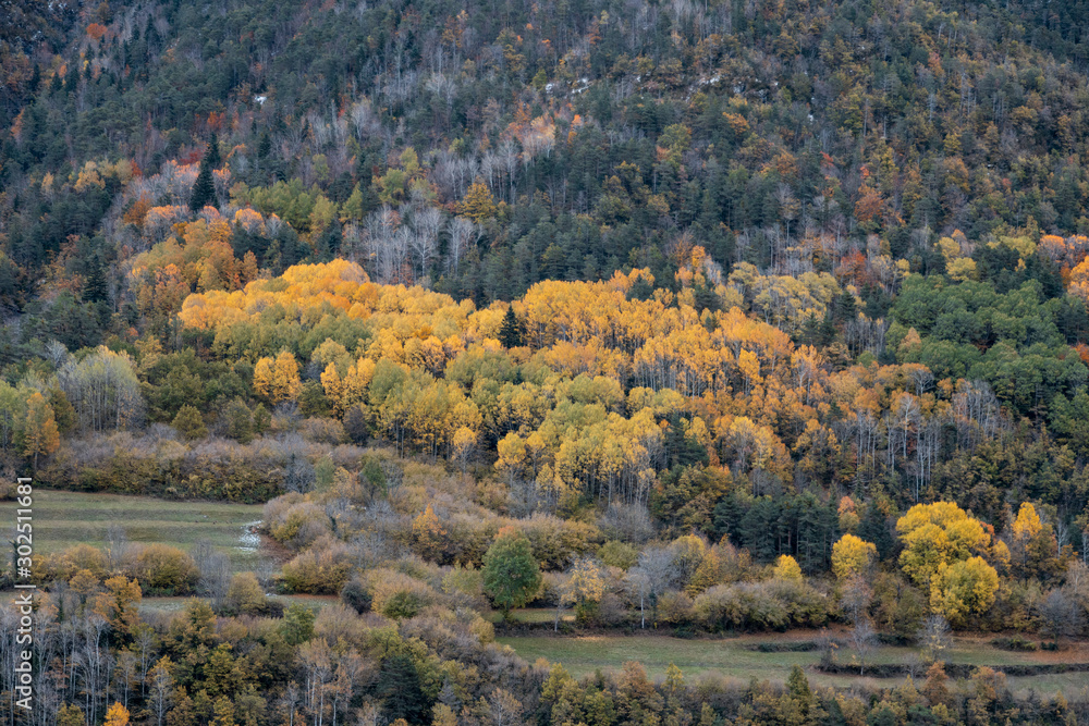 Broto Valley in autumn, located in Pyrenees Spain