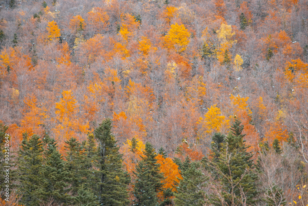 Ordesa National Valley in snowy autumn, located in Pyrenees Spain Ordesa National Valley in snowy autumn, located in Pyrenees Spain