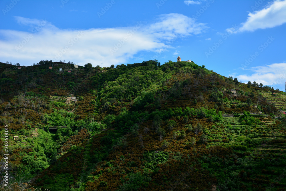 cinque terre italy landscape with trees on the hill and blue sky