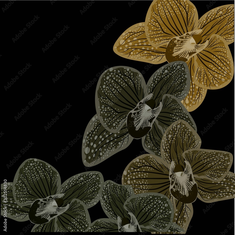 Naklejka Abstract purple orhids illustration on black background. Realistic orchid for print design. Vector design illustration. Black dark background. Nature backdrop.