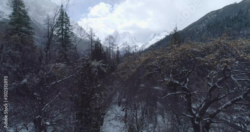 Siguniangshan National Park in winter/ autumn snowing day view from bush woods top snowy mountain peak in the background 4k nature background drone clip photo