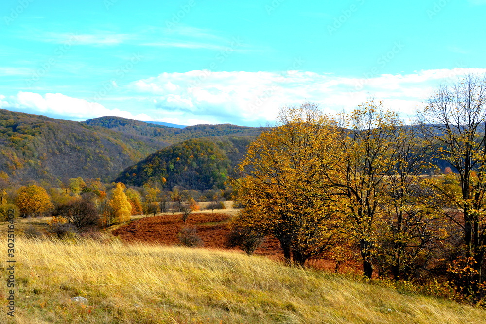 Landscape, the mining railway Anina Oravita in Banat, Transylvania Landscape, the mining railway Anina Oravita in Banat, Transylvania