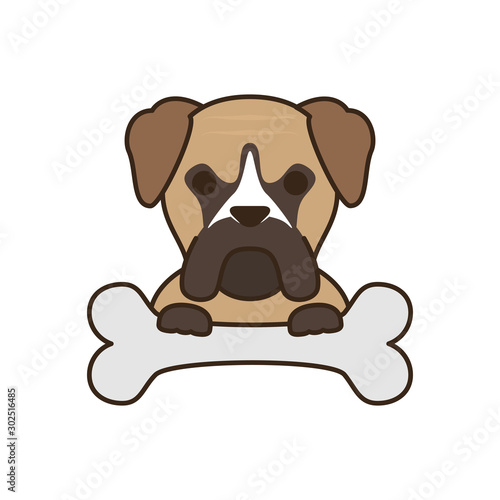 cute little dog bull mastiff with bone fill style icon