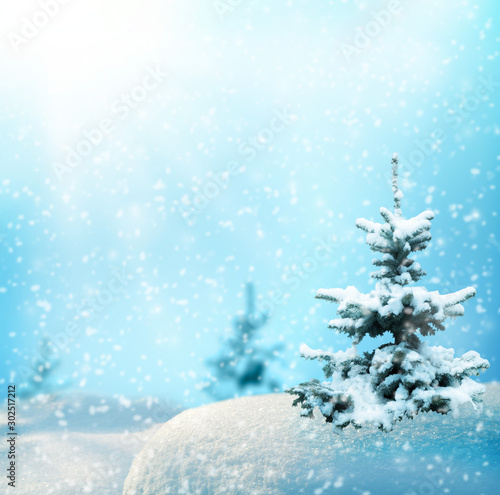 Christmas fir tree branches on blurred blue background. Christmas and Winter snow background. landscape with fir trees forest and snowing.
