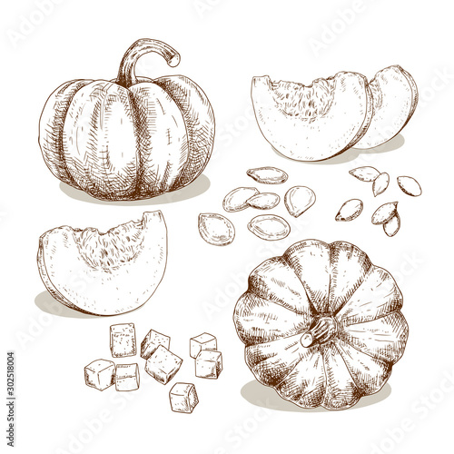 Hand drawn pumpkin. Set sketches with pieces pumpkin, cubes and seeds. Vector illustration isolated on white background.