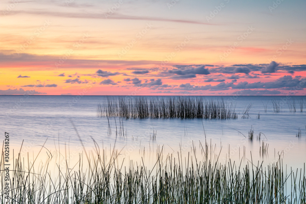 Reeds make up the foreground in this lagoon landscape on a beautiful sunset on a summer day. Reeds make up the foreground in this lagoon landscape on a beautiful sunset on a summer day.