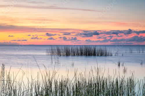 Reeds make up the foreground in this lagoon landscape on a beautiful sunset on a summer day.
