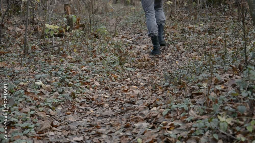 Shoes hiking outdoors taking steps on top of tree log in lush forest adventure travel concept hd stock footage Shoes hiking outdoors taking steps on top of tree log in lush forest adventure travel concept hd stock footage