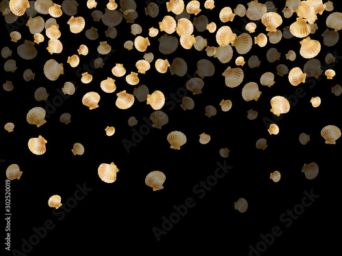 golden pearl bivalved mollusks. Aquatic scallop