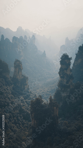 Misty sunrise at China rock mountains valley with green lust trees. Zhangjiajie Wulingyuan 