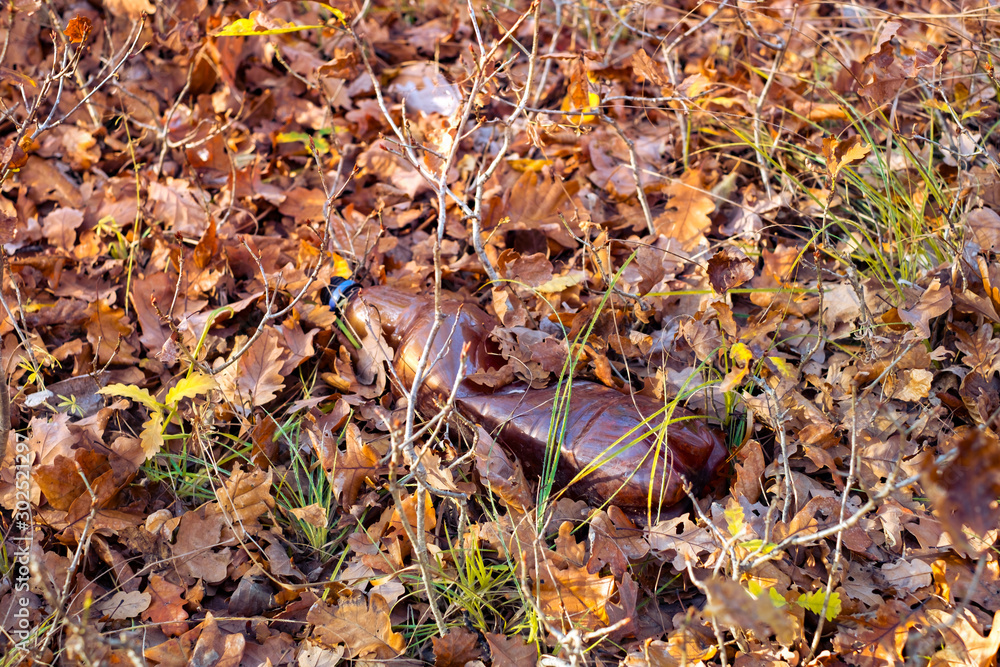 A dirty plastic bottle left in the autumn forest A dirty plastic bottle left in the autumn forest