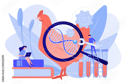 Scientists working with huge DNA of a chicken. Genetically modified animals, genetically modified animal experiments concept on white background. Pinkish coral bluevector isolated illustration