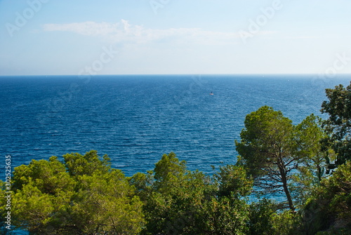 Barcelona, Spain - 18.08.2019: Green trees and rocks by the blue sea