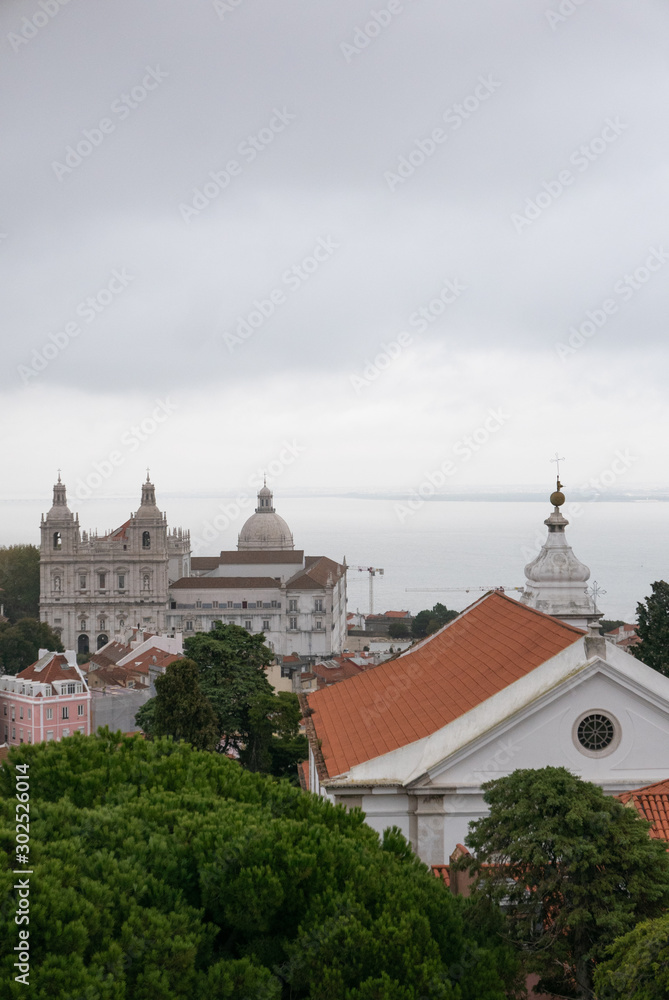 Cityscape of Lisbon with water, vertical Cityscape of Lisbon with water, vertical