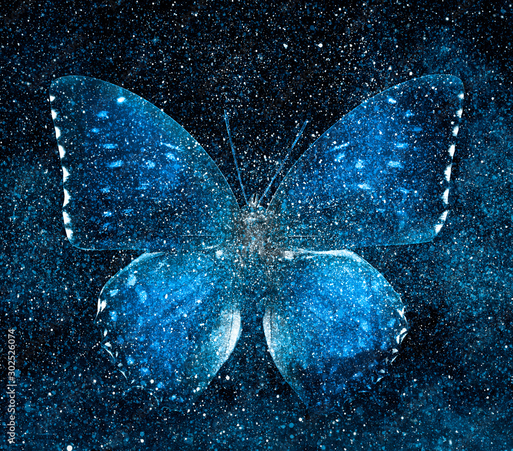Universe starry sky with butterfly - obrazy, fototapety, plakaty 