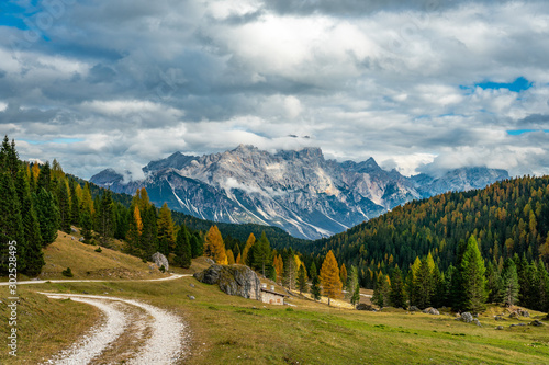 Colourful autumn panorama  with yellow larches in the foreground and the Faloria mountain in the background