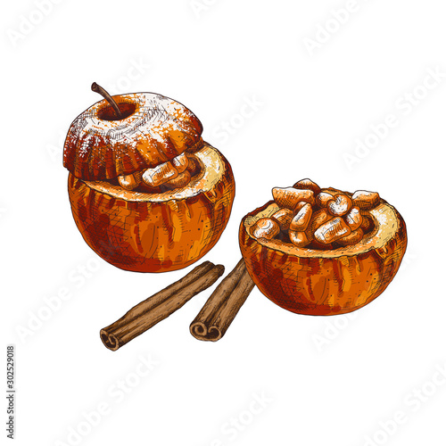 Hand drawn baked apples with cinnamon isolated on white background. Vector illustration.