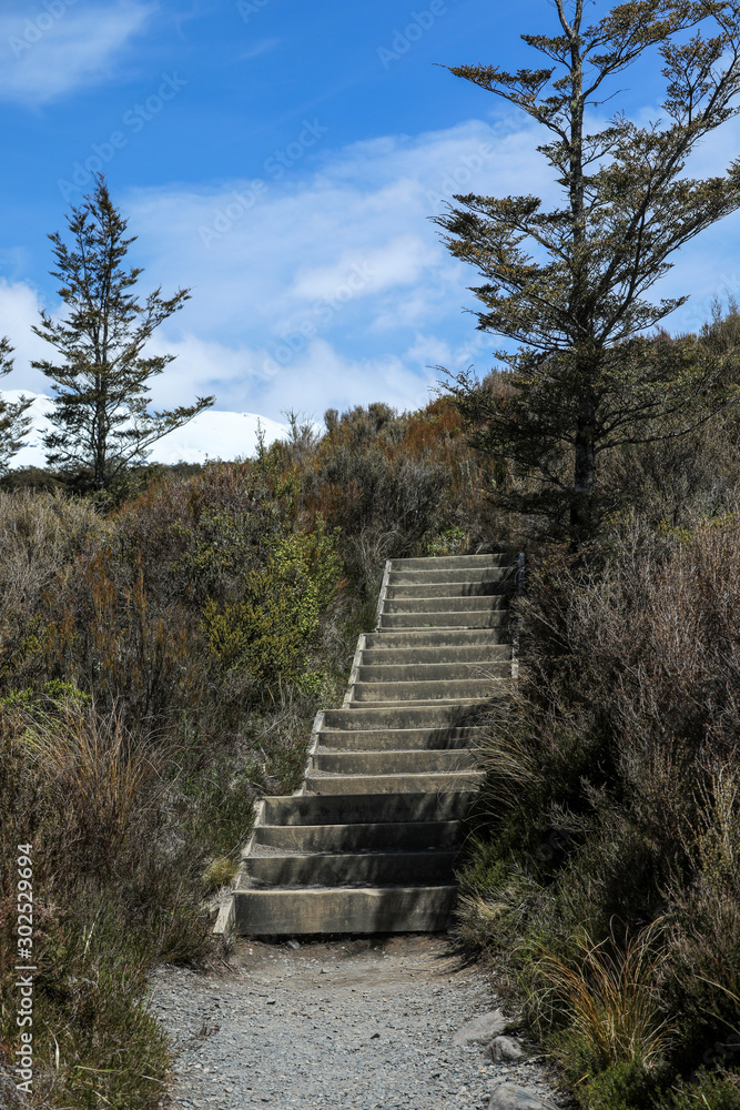 Fototapeta premium Wanderweg in Neuseeland 