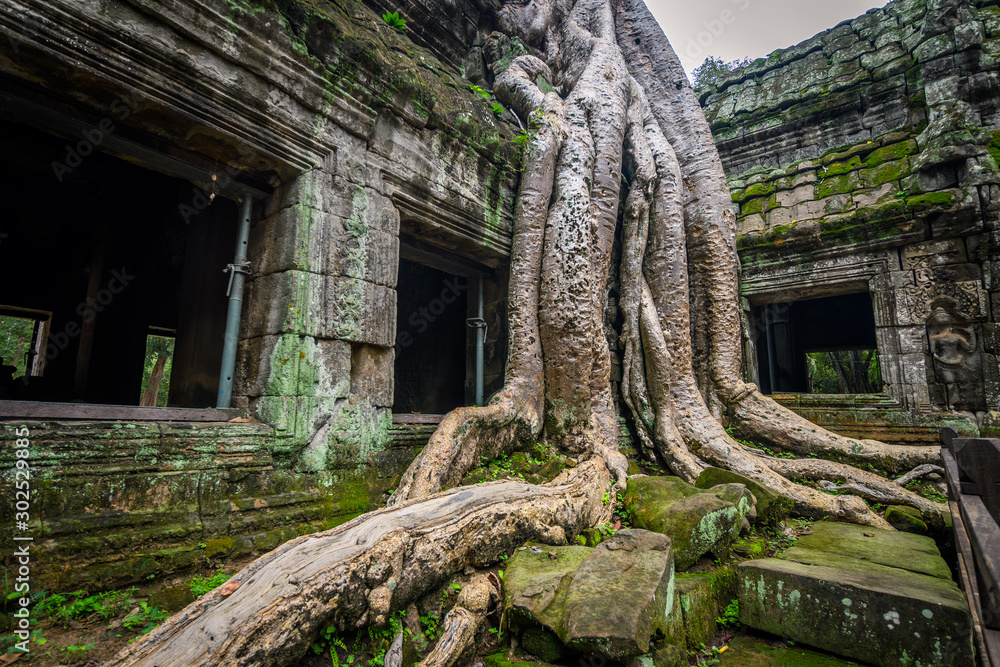 ruins of angkor wat complex at cambodia