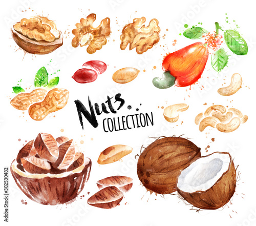 Watercolor collection of nuts