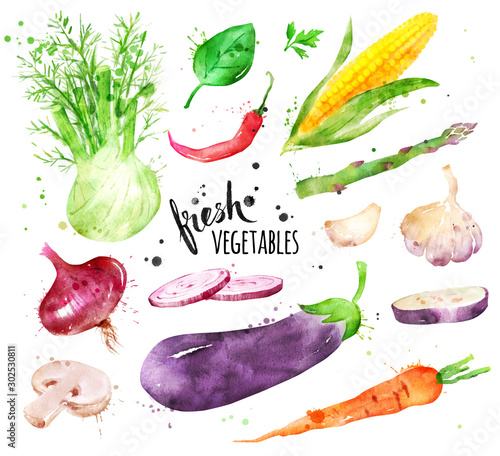 Illustration collection of fresh vegetables