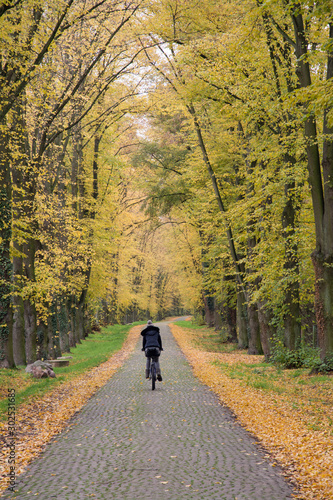 radfahrer auf einem waldweg photo