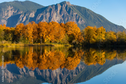 The calm  still waters of a large pond near Snoqualmie  Washington  reflect the beautiful fall colors of shoreline trees and Mt. Si in the distant background. Close-up..