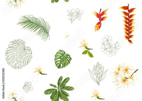 Tropical plants and flowers. Seamless pattern, background. Colored and outline design. Vector illustration. Isolated on white background