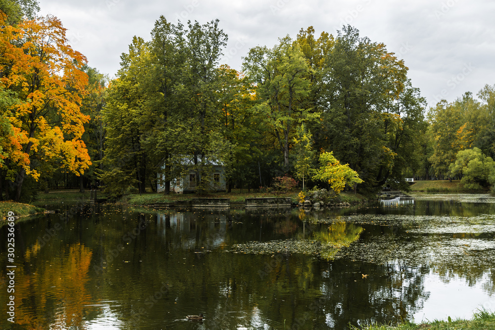 colorful autumn landscape, lake with reflection of trees colorful autumn landscape, lake with reflection of trees