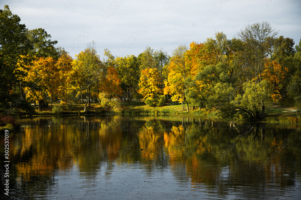Fototapeta premium colorful autumn landscape, lake with reflection of trees