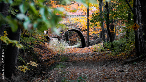 Autumn Tunnel