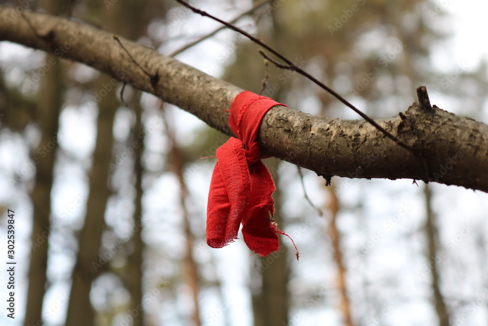 Red cloth tied on a tree branch on the background of autumn forest. In the  background is the grey sky and the trunks of pine trees. Ritual for wish  fulfillment. Stock Photo