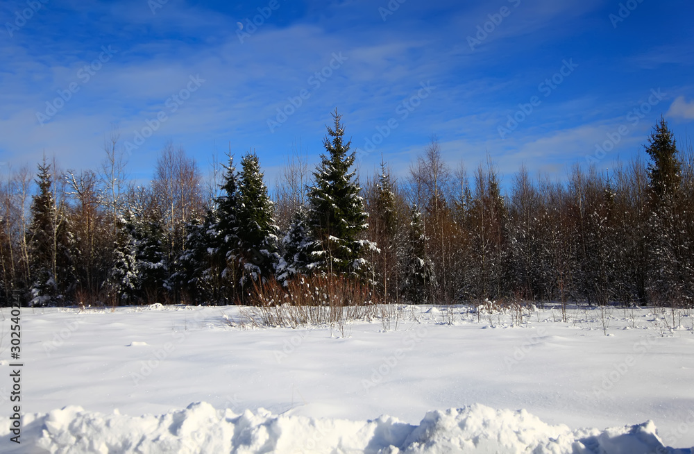 Selective focus of Snowflake on tree during winter, shallow depth of field. White snow on a empty winter rural road. Selective focus of Snowflake on tree during winter, shallow depth of field. White snow on a empty winter rural road.