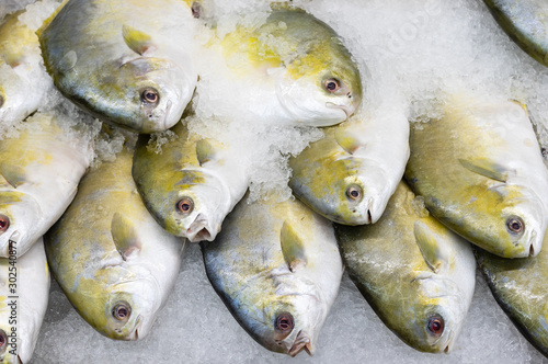Εκτύπωση καμβά Image of fresh pompano fish on ice