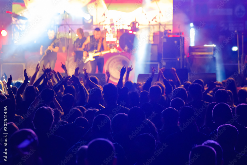 Fans at live rock music concert cheering