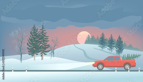 Pickup with christmas tree.Winter landscape. Fir Trees and road.