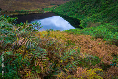 lake with reflection in valley  with green rhododendron on some of the surrounding hills  lush green foliage  with ferns and bracken in the foreground 