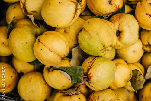 Tableau sur toile yellow ripe quince in the food market, fruits, tree