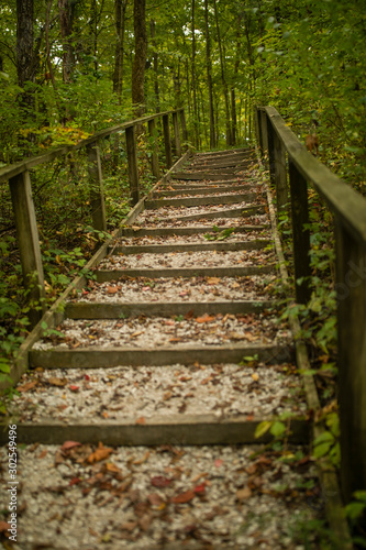 Stairs to Nature