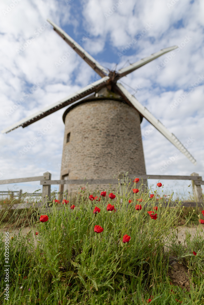 the windmill at the top of the hill