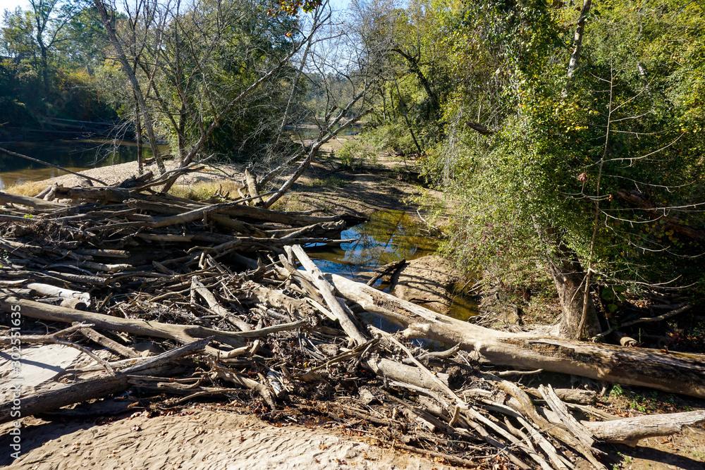 Drought exposes a stream bottom and a pile of driftwood Drought exposes a stream bottom and a pile of driftwood