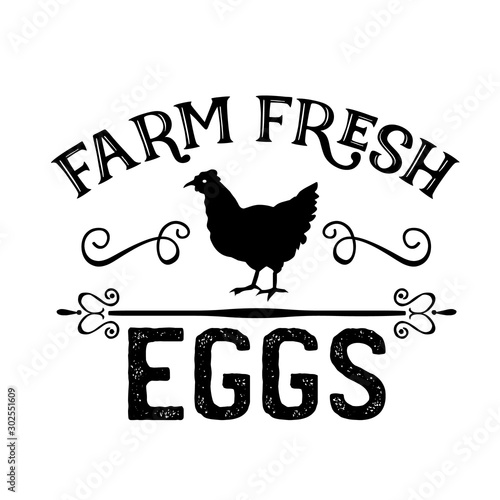 Farm Fresh Eggs vector. Chicken, kitchen clip art. Farmhouse wall decor. Isolated on transparent background.