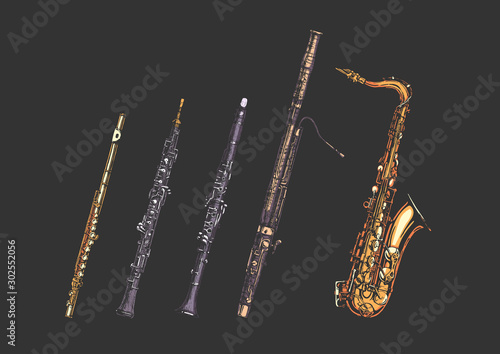 Woodwind musical instruments set