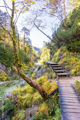 Sunny Autumn Day in the Oetschergraeben in Lower Austria photo