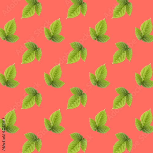 Pattern of fresh ripe fruit isolated on coral color texture